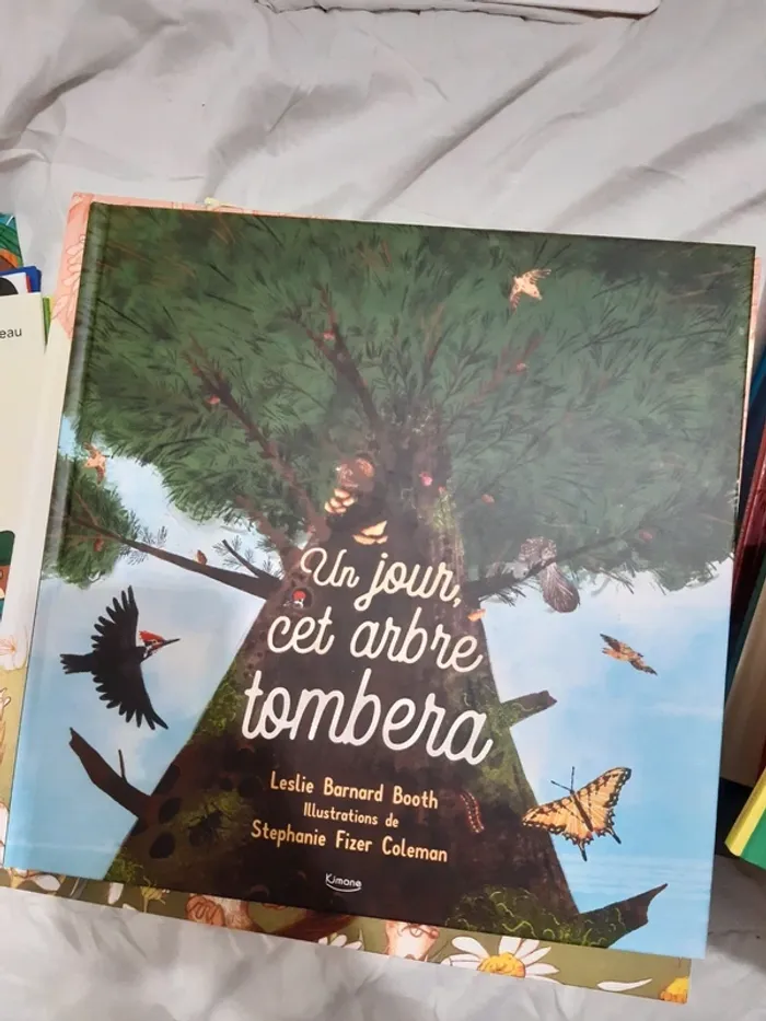 Immense lot de livres jeunesse - photo numéro 3