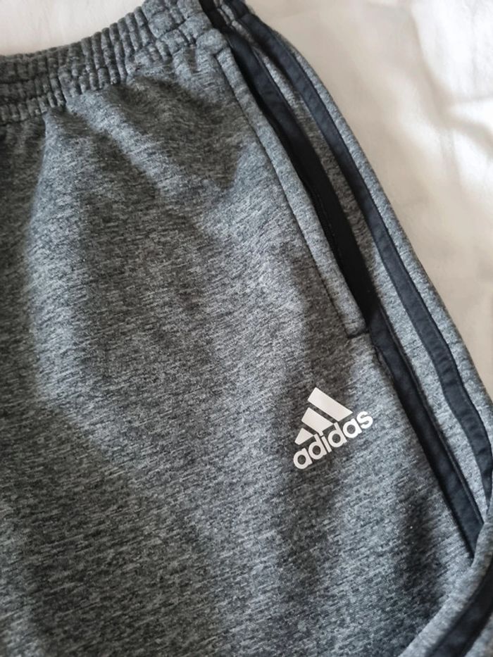 jogging adidas - photo numéro 2