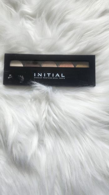 Palette fard a paupière nude