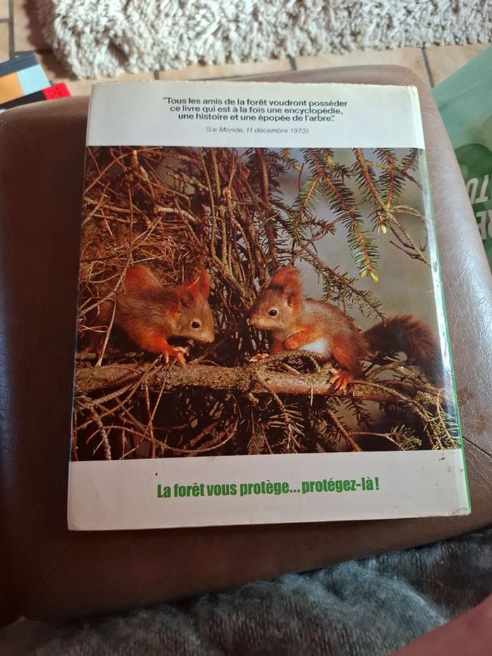 Le grand livre de la forêt. - photo numéro 3