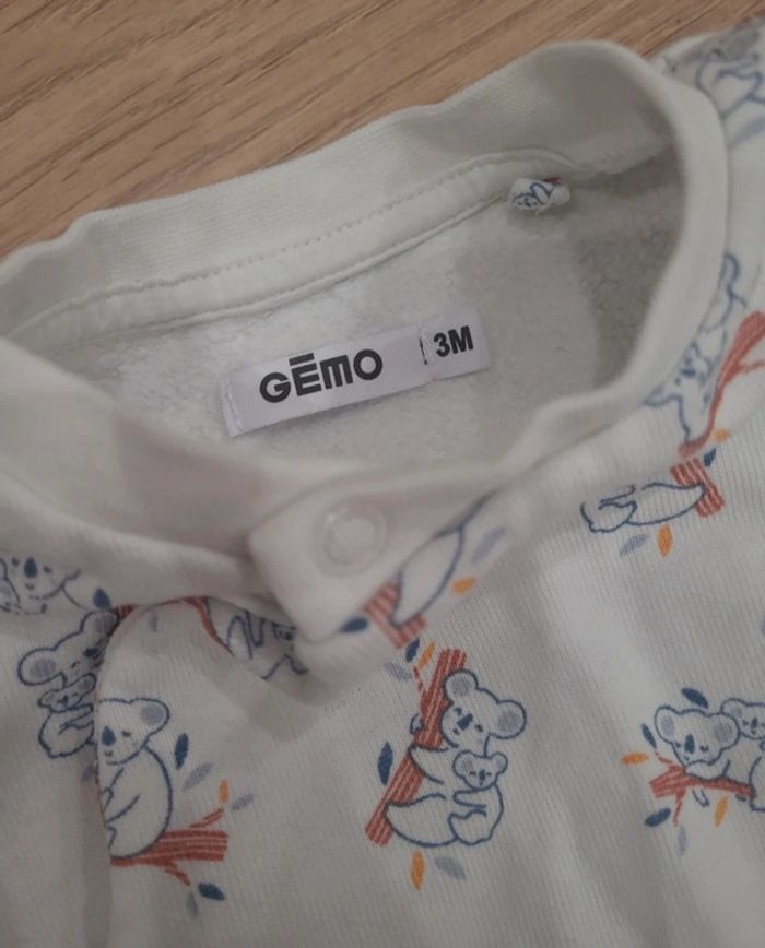 Ensemble gemo - photo numéro 2