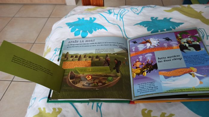 Livre Les vikings - photo numéro 6