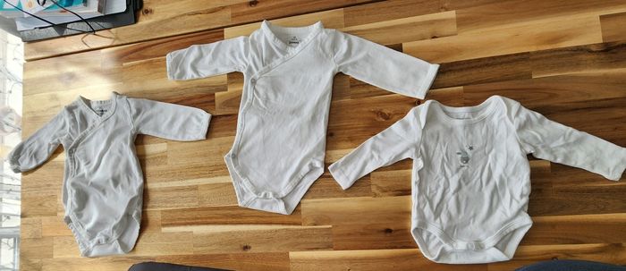 Lot 3 bodies