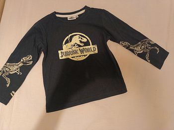 Pull Jurassic World 3-4 ans