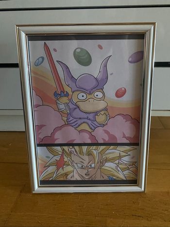 Cadre Pokémon dragon ball