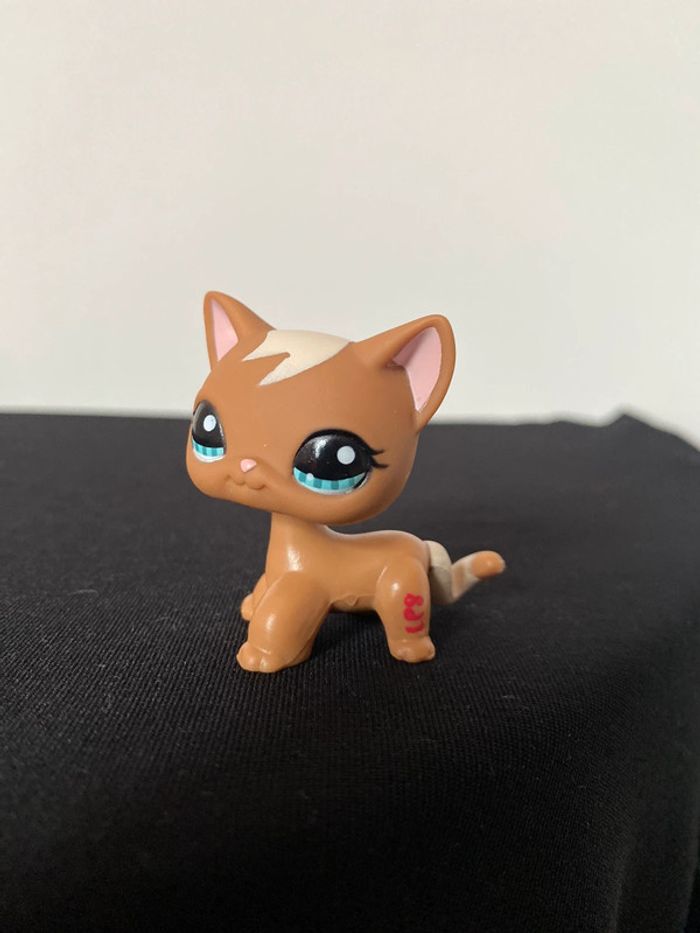 LPS 1170 - photo numéro 7