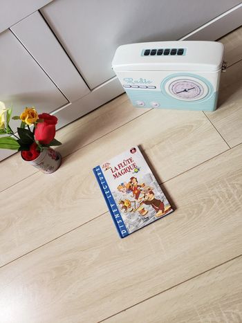 Livre 📖 Tic et Tac : La flute magique 2€