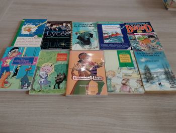 Lot de 10 livres de poches divers (17)