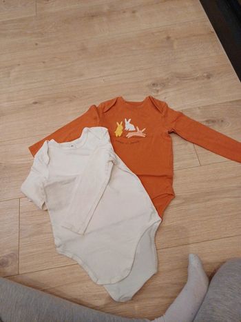 Lot de 2 Bodies TAO 36m