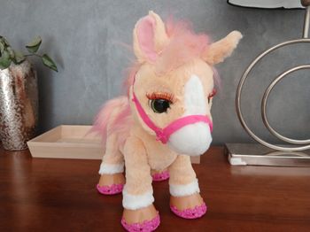 canelle mon poney coquet