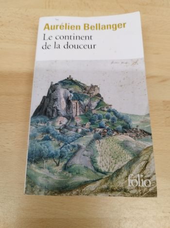 Aurélien Bellanger

Le continent de la douceur
