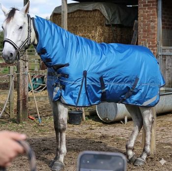 Couverture cheval hiver Gallopoff 1680D 300g + Couvre-cou - 150 cm - Bleu