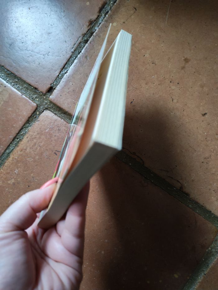 Carole à l'épreuve, Grand Galop, livre de Bonnie Bryant - photo numéro 6