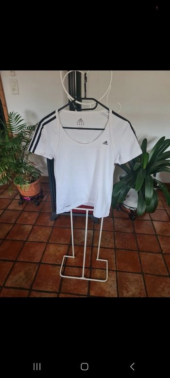 Tee-shirt Adidas