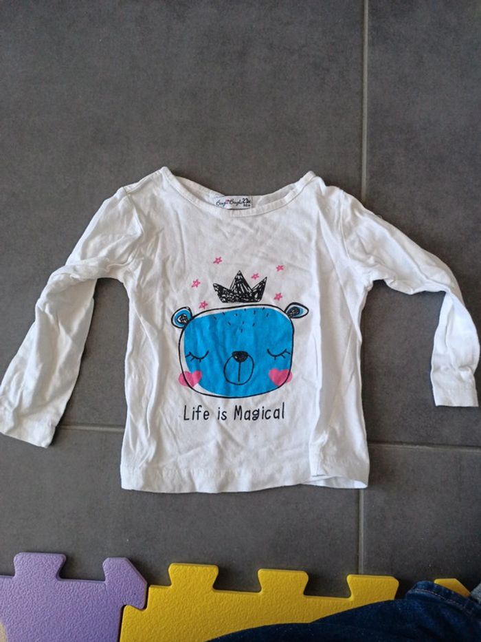Lot tee shirts manches longues, 24 mois - photo numéro 8