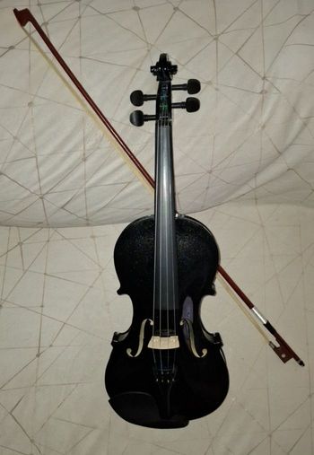 Violon entier + cordes + boite + archet