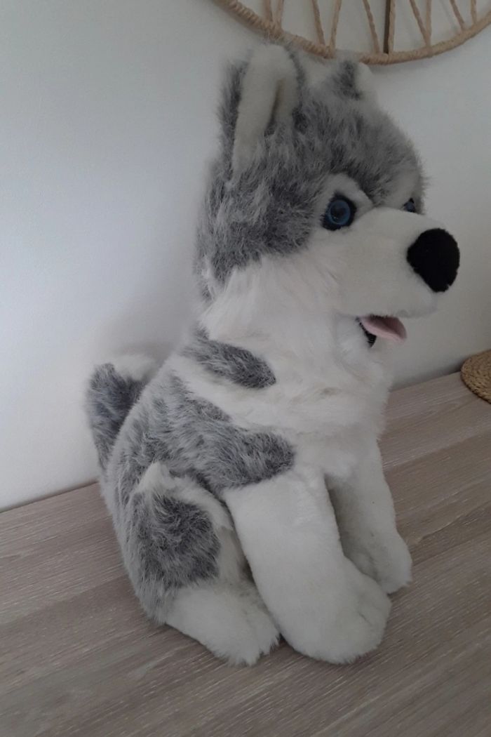 Peluche Husky - photo numéro 2