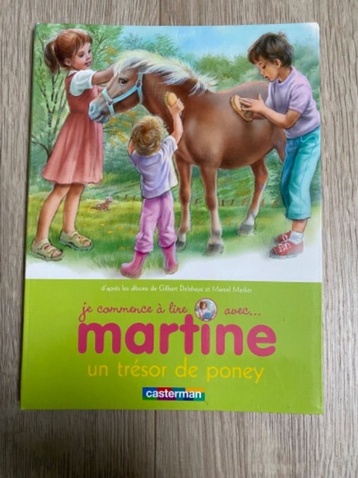 Livre martine « un trésor de poney »