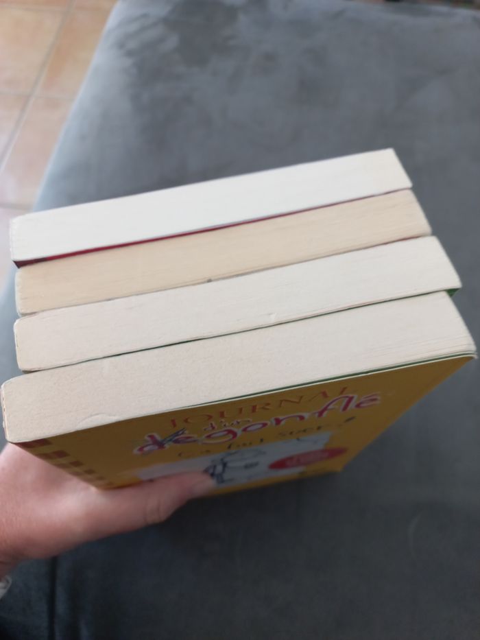 Lot 4 livres journal d'un dégonflé tomeb1 2 3 4 - photo numéro 4