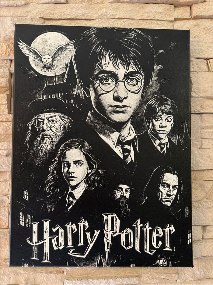 Tableau personnages Harry Potter en toile 30x40cm - photo numéro 8