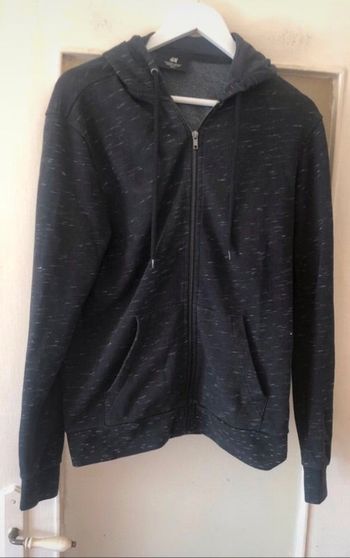 Veste sweat-shirt à capuche