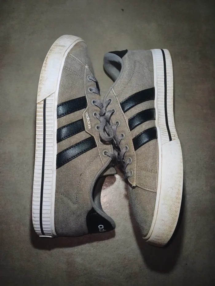 Basket homme Adidas