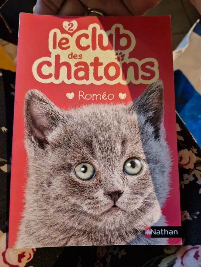 Le club des chatons Roméo