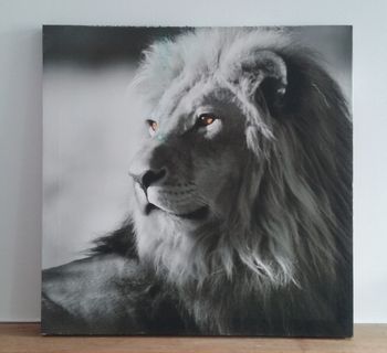 Toile lion sur cadre