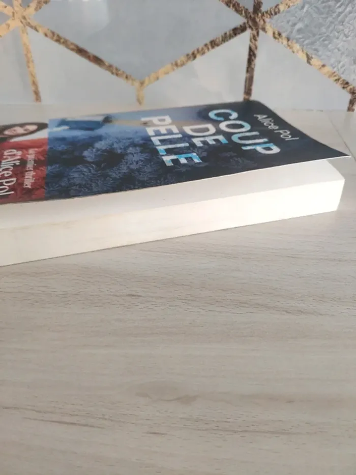 Livre grand format coup de pelle Alice Pol thriller - photo numéro 3