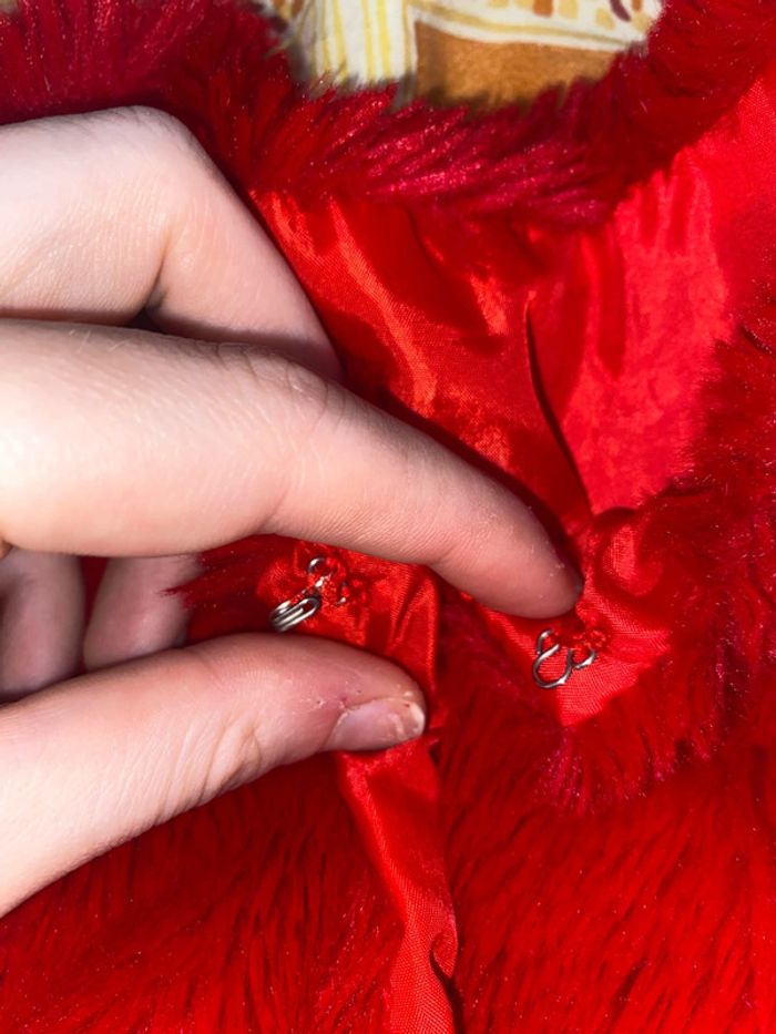 Tenue de fêtes - photo numéro 8