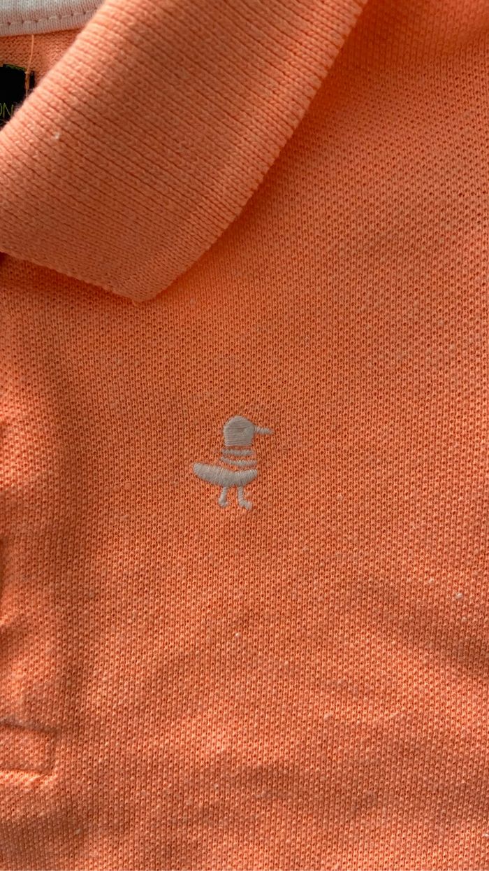 Polo corail - photo numéro 3