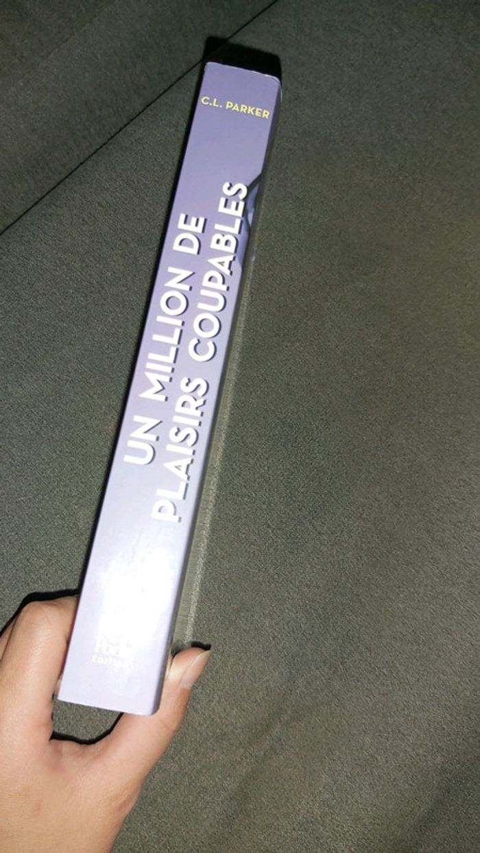 Un million de plaisirs coupables - photo numéro 2