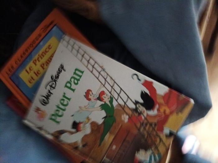 Livres 📚 Walt Disney - photo numéro 6