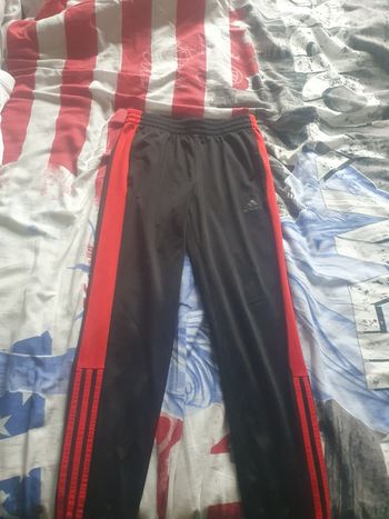 Jogging adidas