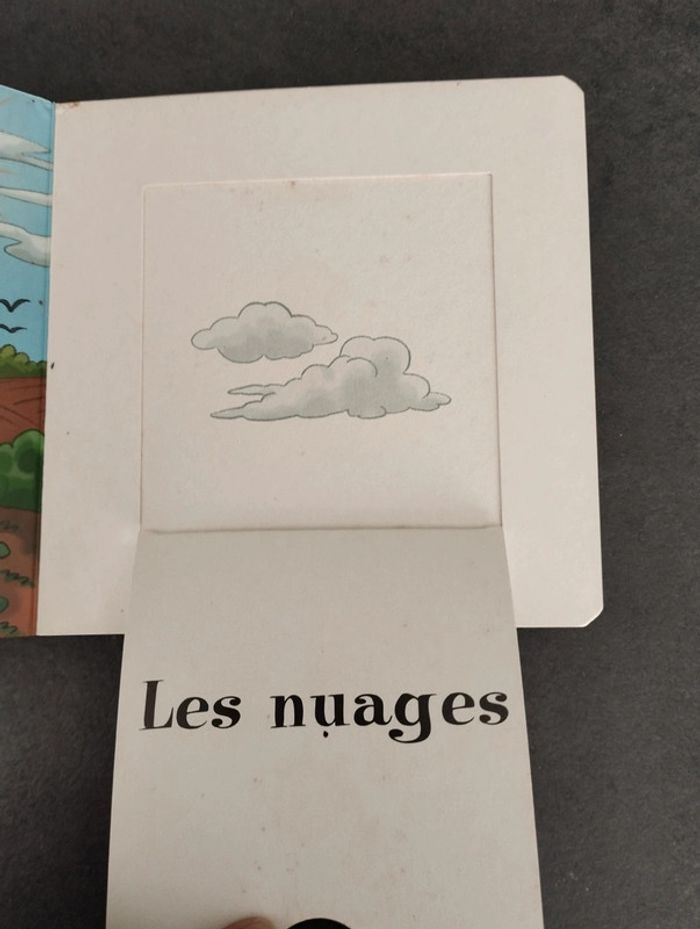 Livre découvre le temps qu'il fait avec T'choupi - photo numéro 11