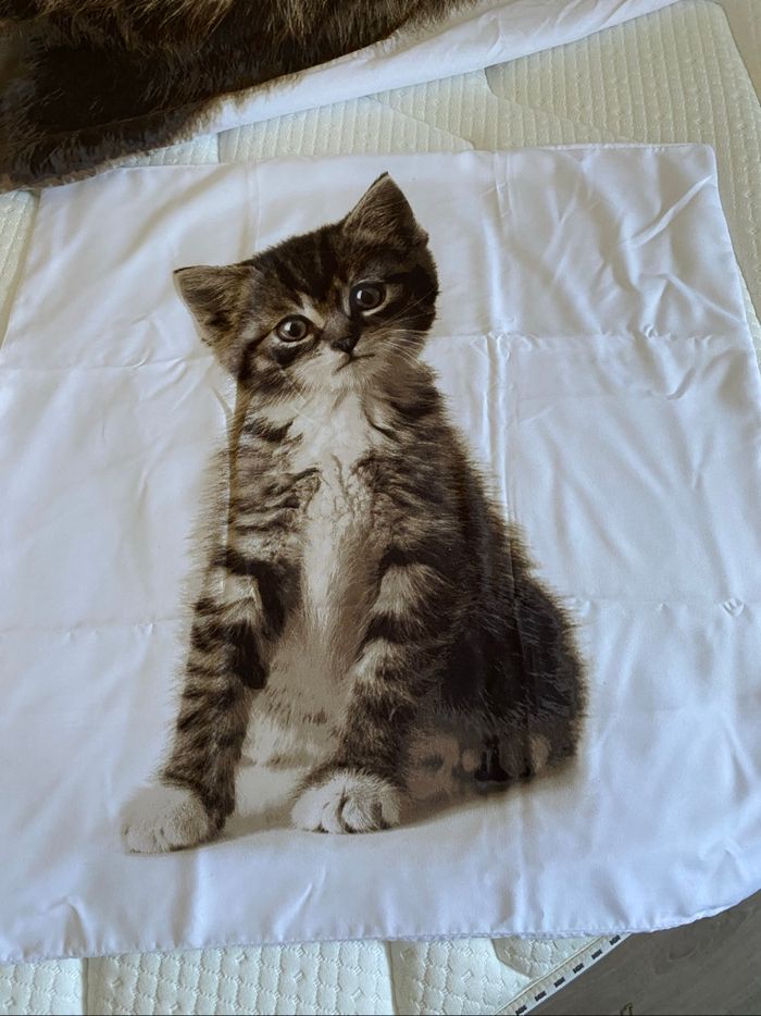Housse de couette.  Chaton. 1 pers - photo numéro 2