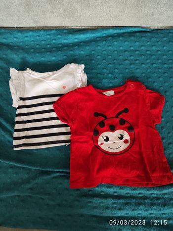 Lot 2 t-shirt manches courtes