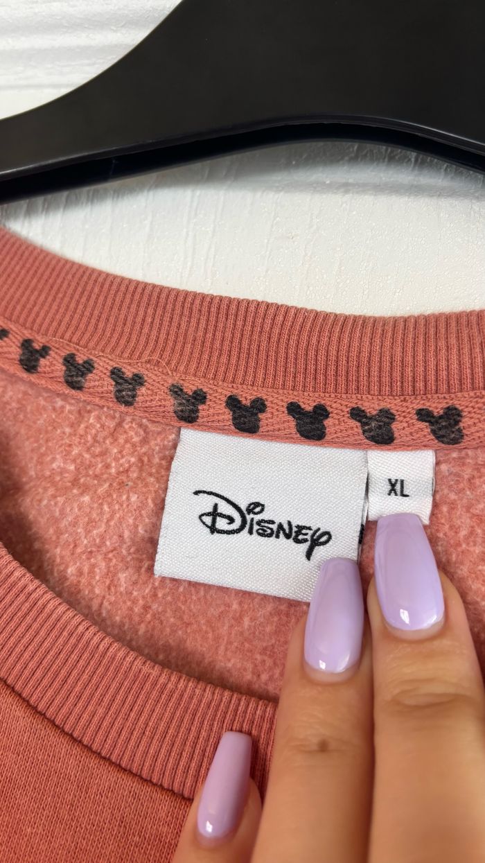 sweat disney - photo numéro 2