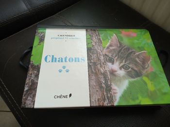 Calendrier