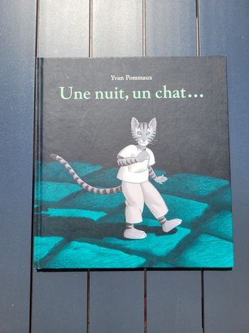 Livre Une nuit, un chat Yvan Pommaux