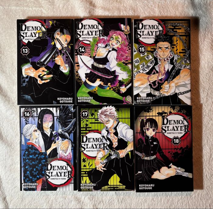 👹 Intégrale Manga Demon Slayer (Tomes 1 à 23) + 2 Coffrets Collector - photo numéro 7