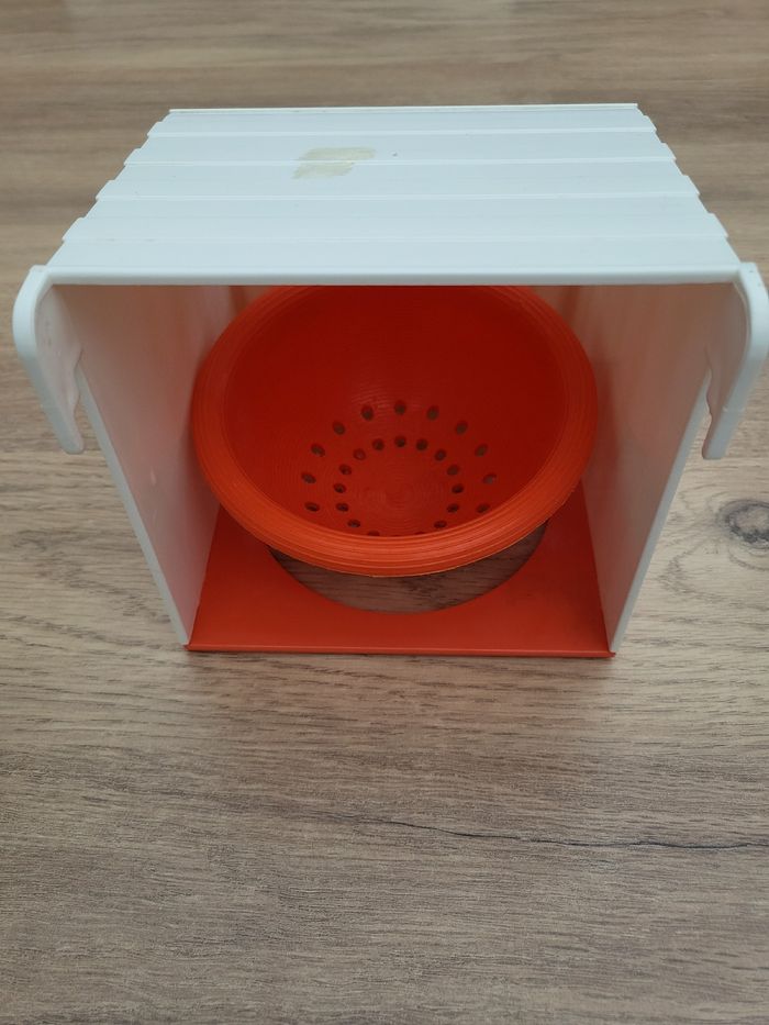 Nids canaris - photo numéro 2