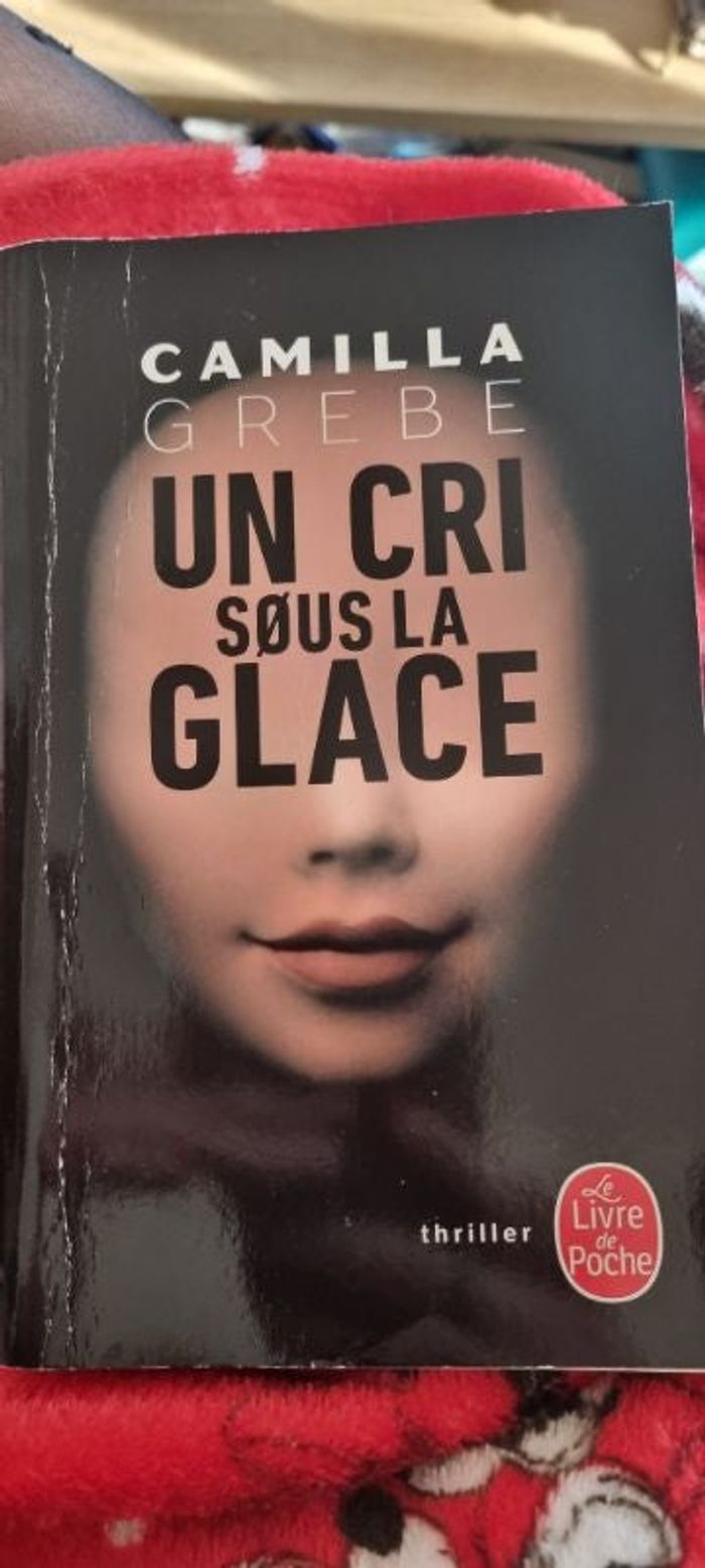Un cri sous la glace THRILLER