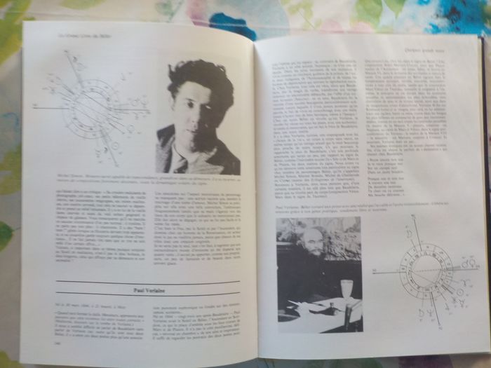 LE GRAND LIVRE DU BELIER par A. WALDSTEIN Ed. Tchou - photo numéro 10