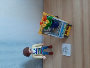 CLIENTE AVEC CHARIOT ET POT DE FLEURS "PLAYMOBIL" - Réf.4638 - n°76