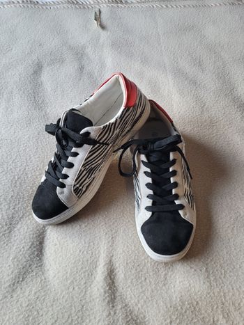 Baskets fpc so city 39