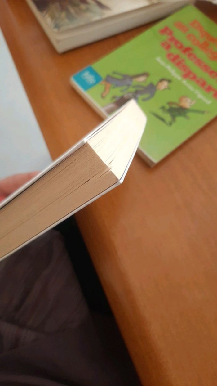 Roman étudiant - photo numéro 4