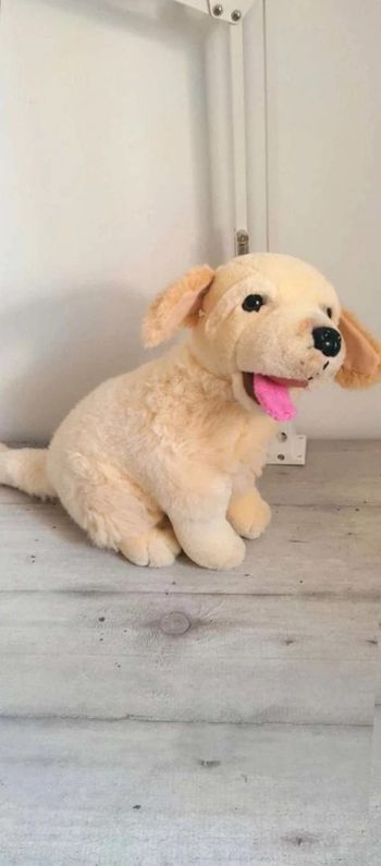 Peluche  chien