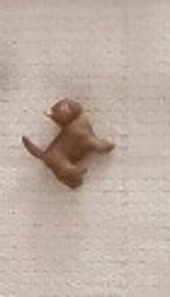 Schleich 42443 kit voltige horse club Mia - photo numéro 2