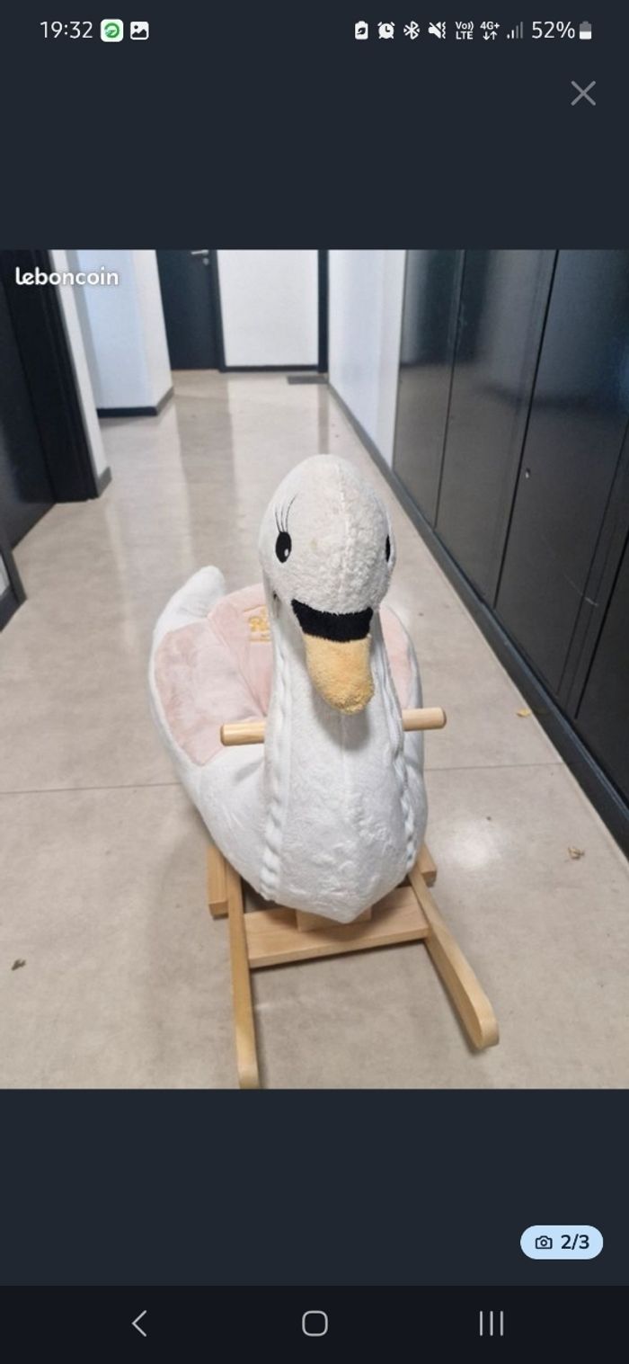 Canard a bascule - photo numéro 2